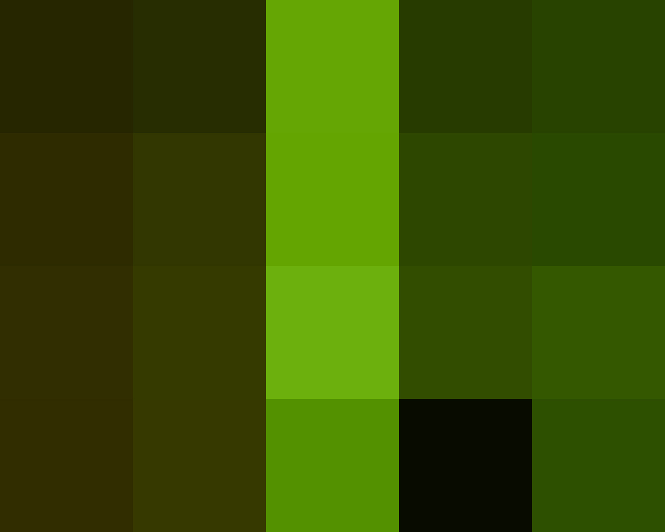 CF348023160x2001300PIXEL.jpg