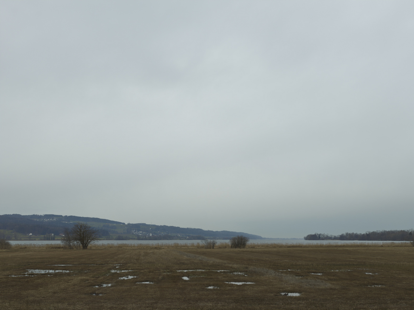 Greifensee