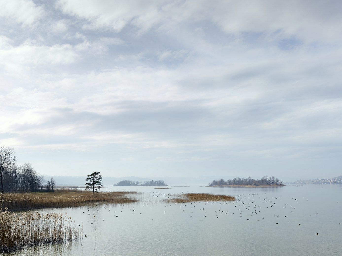 Zürichsee, Ufenau & Lützelau
